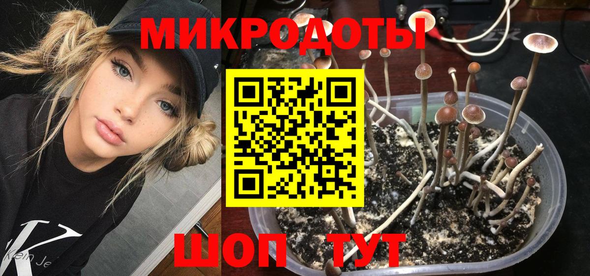 Галлюциногенные грибы Cubensis Саяногорск