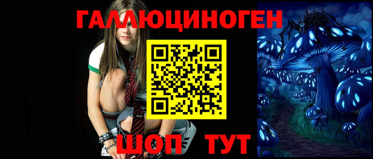 Саяногорск  Галлюциногенные грибы Psilocybe  Вход с VPN 