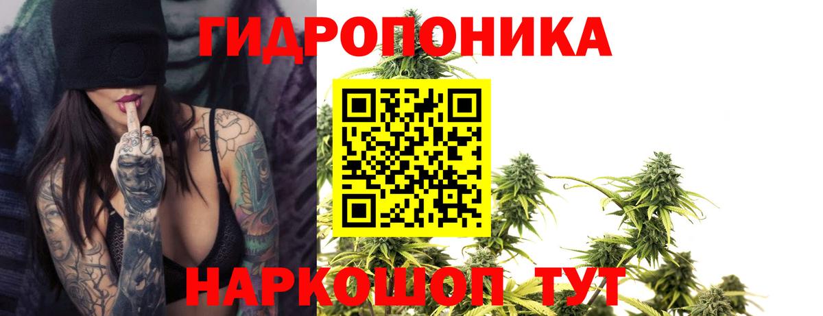 Бошки Шишки Ganja  Бошки Шишки семена  Вход с VPN  Саяногорск  МАРИХУАНА семена 